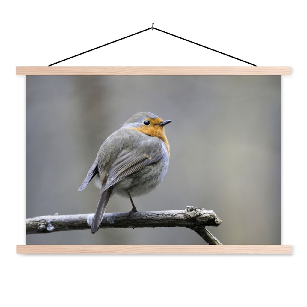 MuchoWow Textilposter Rotkehlchen - Zweig - Winter 120x80 cm mit holzfarbenen Rahmen - Aufhängeset
