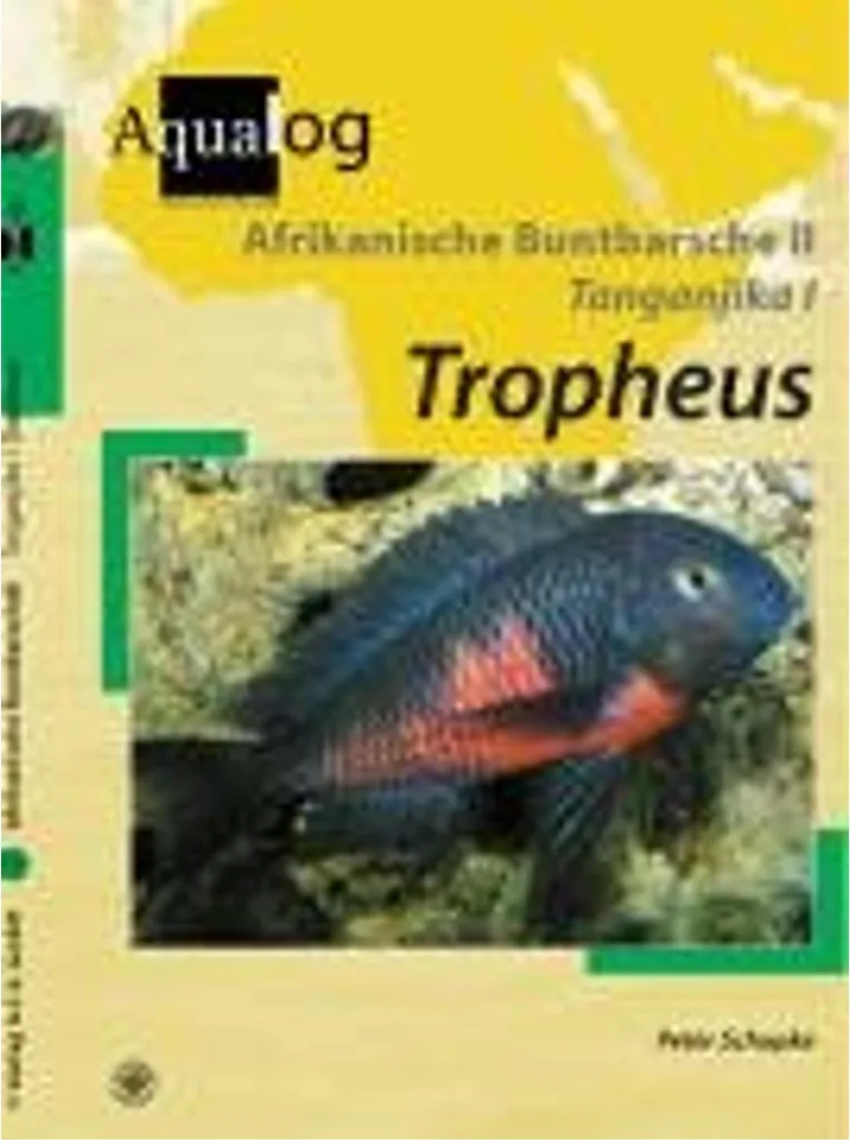 Aménager un aquarium Tanganyika avec des Cichlidés Tropheus endémiques