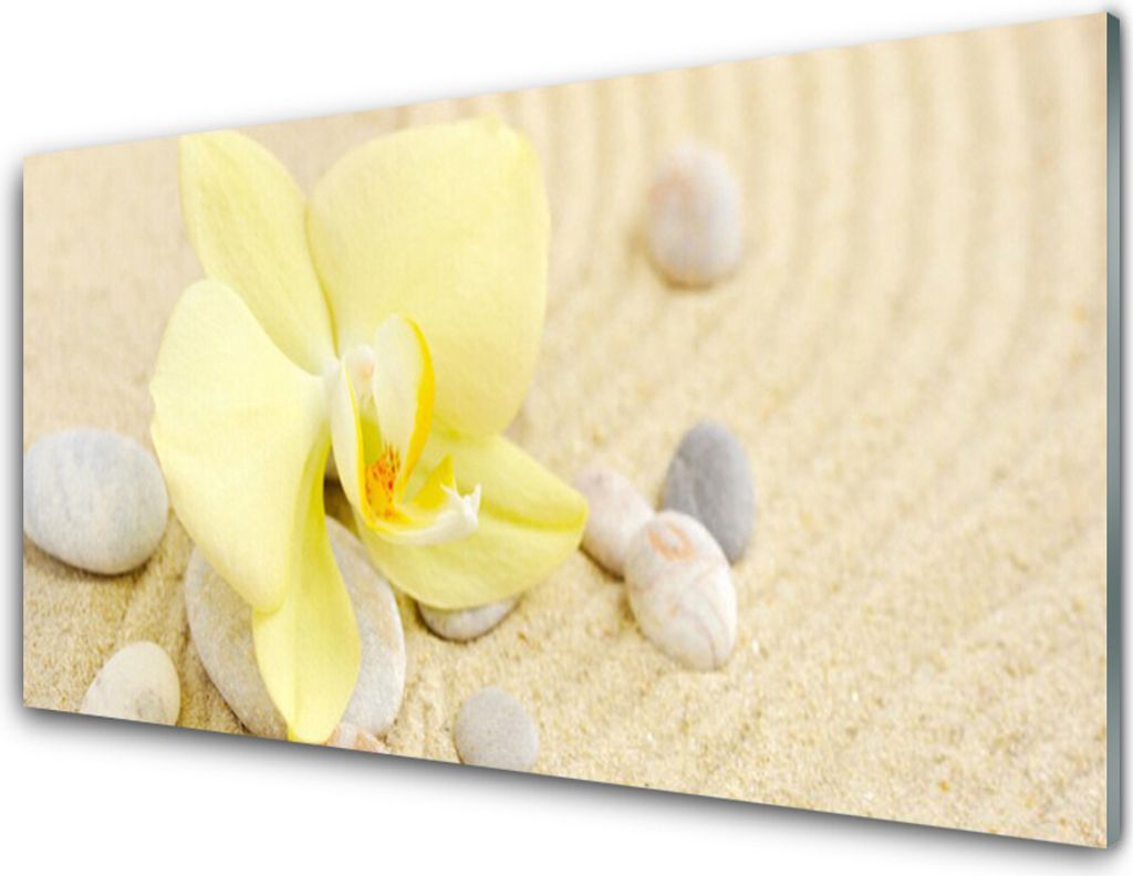 Küchenrückwand aus Glas 100x50cm Spritzschutz Blumen Pflanzen