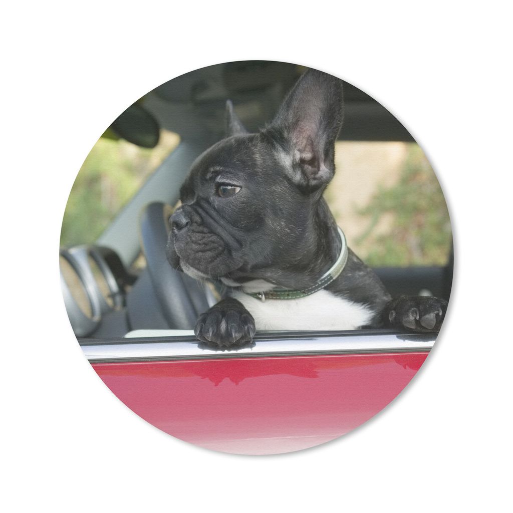 MuchoWow Mauspad Mousepad Französische Bulldogge - Auto - Rot 50x50 cm - Mousepads - Maus Mat - Pad - Mausunterlage - Vinyl