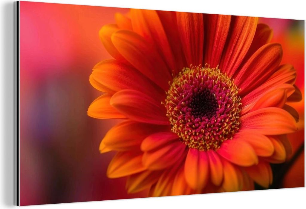 MuchoWow Wanddekoration Metall Metallbild Wandkunst 80x40 cm Orange - Gerbera - Intensiv MuchoWow Aluminium Gemälde - Wanddekoration - Alubild