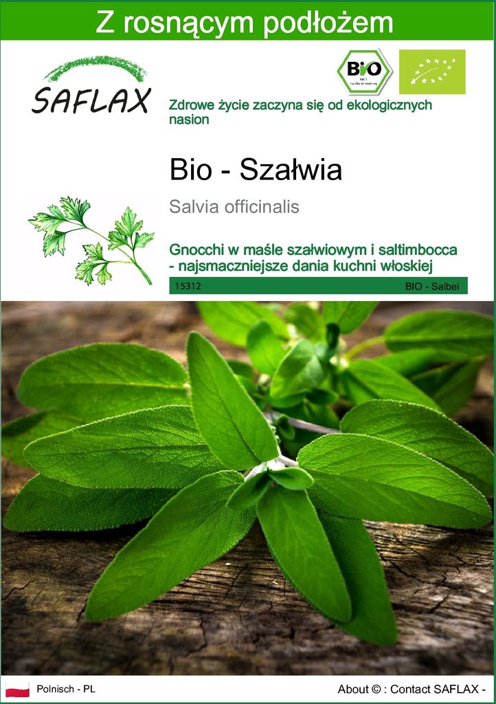 SAFLAX - Bio - Szałwia - 60 Nasiona - Z podłożem uprawowym Zdjęcie produktu 