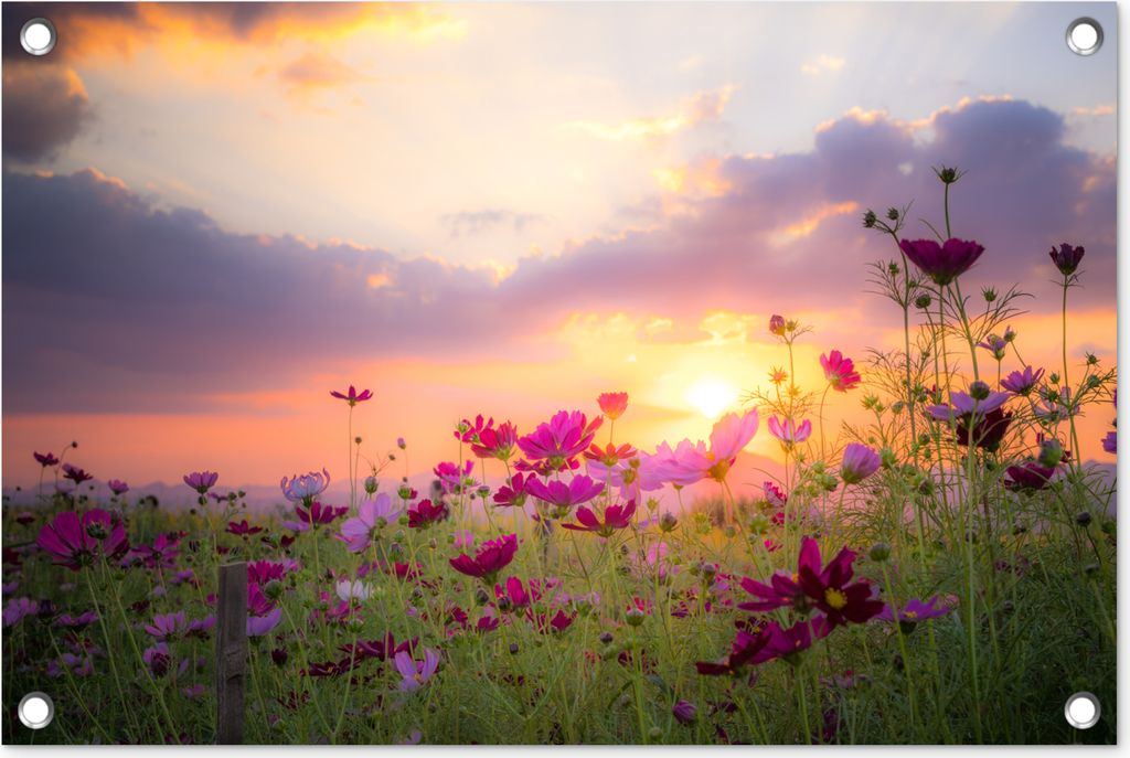 MuchoWow 60x40 cm Outdoor-Poster Gartendeko Sichtschutz Garten Poster für den Garten Blumen - Rosa - Sonnenuntergang - Natur - Wiese - Horizont