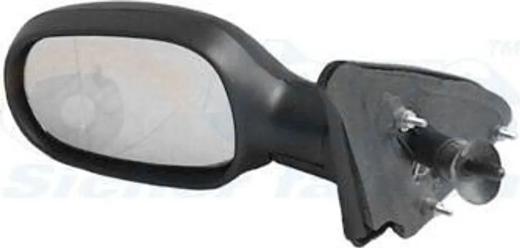 Rétroviseur extérieur VAN Wezel HAGUS 4325803 pour Renault - Qualité OEM