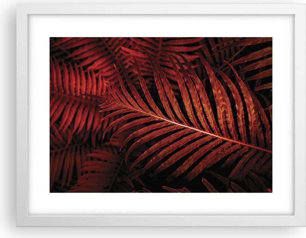 Gerahmtes Poster - Weißer Rahmen - Rot Blätter Palmen - 40x30 cm - Wand Bild - Wanddeko - Wandbilder - Kunstposter - Wandposter - Bilderrahmen - ...