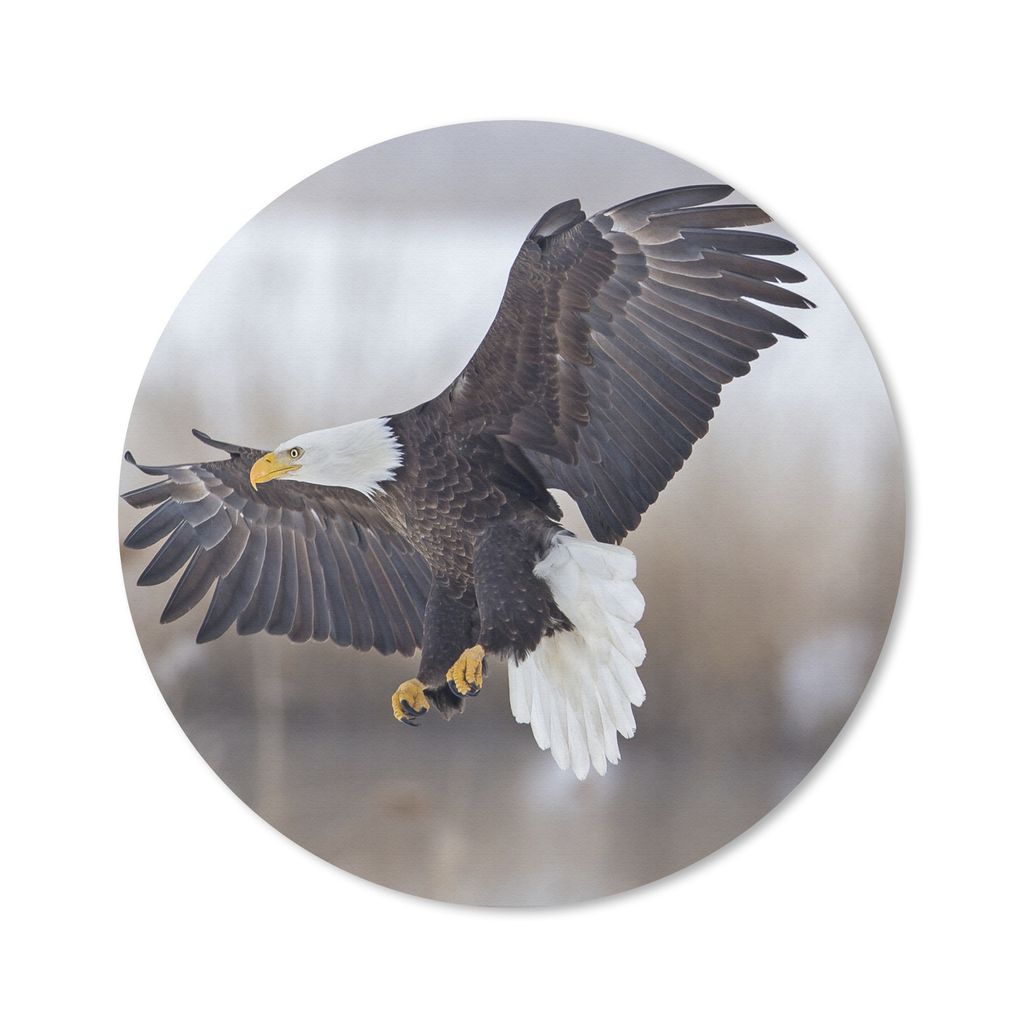 MuchoWow Mauspad Mousepad Ein amerikanischer Weißkopfseeadler mit ausgebreiteten Flügeln. 50x50 cm - Mousepads - Maus Mat - Pad - Mausunterlage...