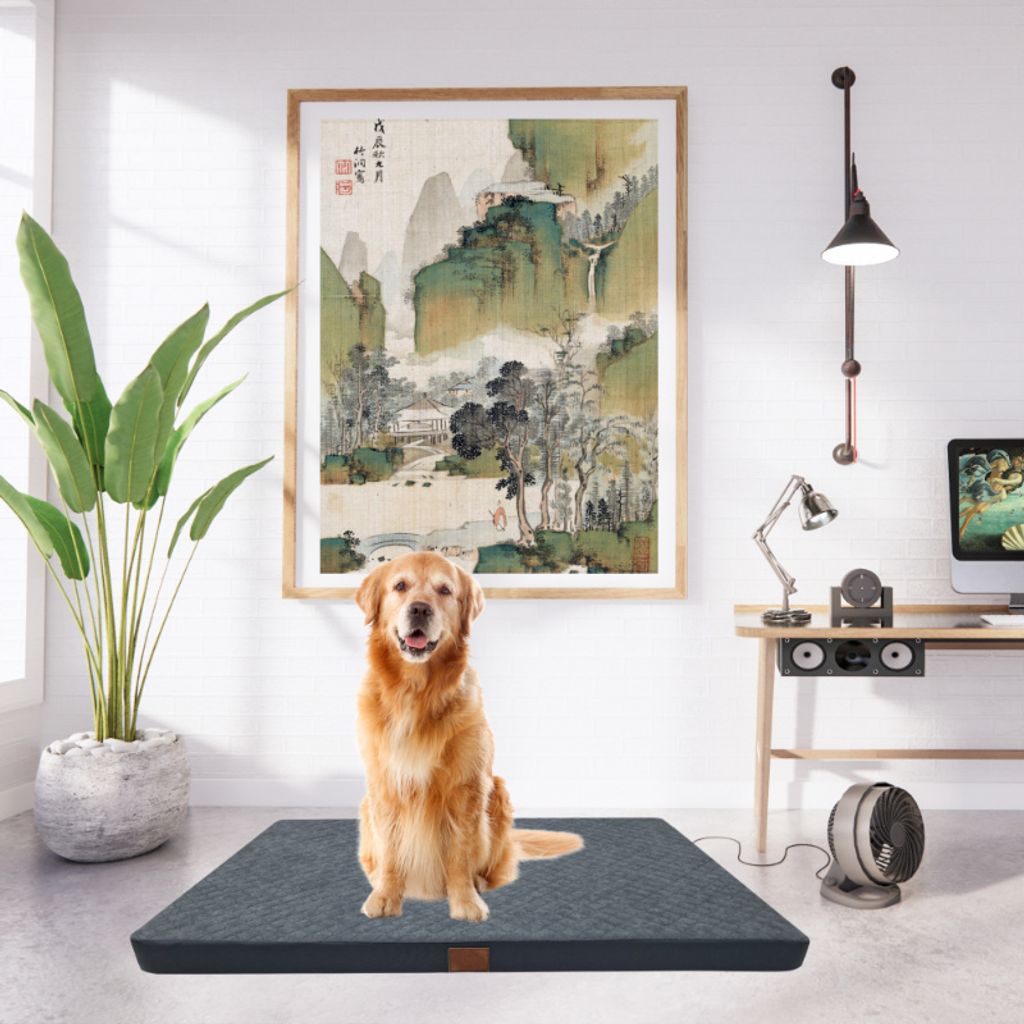 hundespielzeug futter Futter Spielzeug fr Hunde  Spiel, Spa & langsames Fressen  Furrivio
