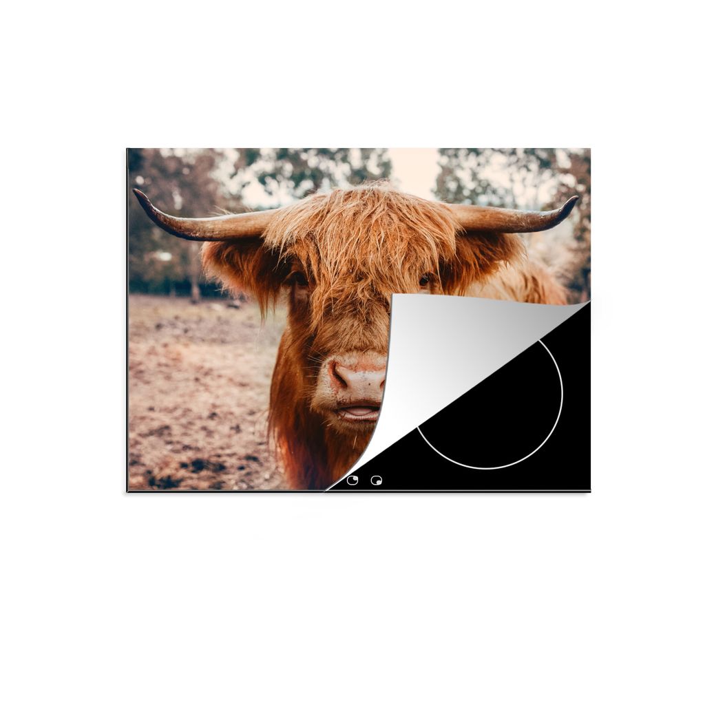 KitchenYeah Herdabdeckplatte Kuh - Schottischer Hochländer - Hörner - Braun - Landschaft , 59x52cm, Küche Deko, Glaskeramikfeld Herdabdeckung,...
