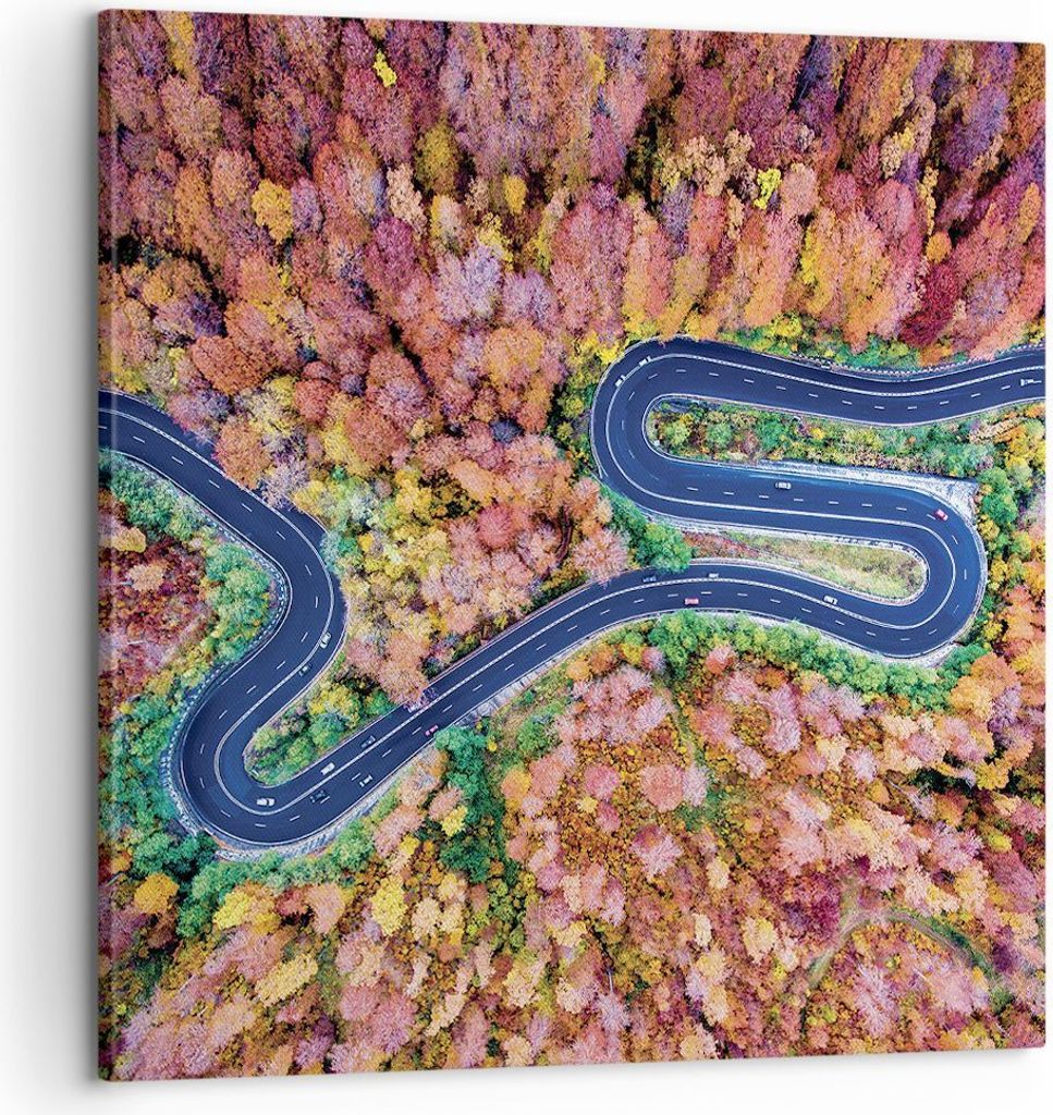 Bild auf Leinwand - Leinwandbild - Einteilig - Kurvenreich Weg Wald - 60x60cm - Wand Bild - Wanddeko - Wandbilder - Leinwanddruck - Bilder - Wandde...