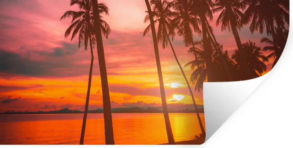MuchoWow Wandtattoo Wandsticker Wandaufkleber Meer - Palme - Sonnenuntergang - Strand - Silhouette 80x40 cm Selbstklebend und Repositionierbar - ...