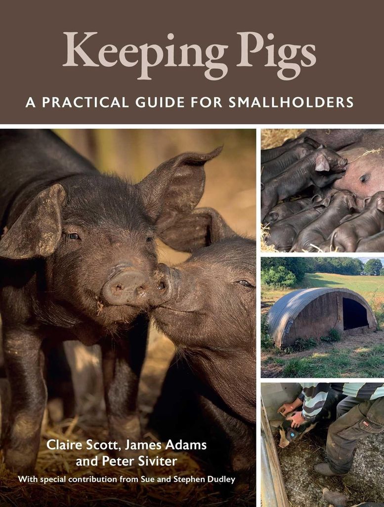 Keeping Pigs – Lingua: Inglese