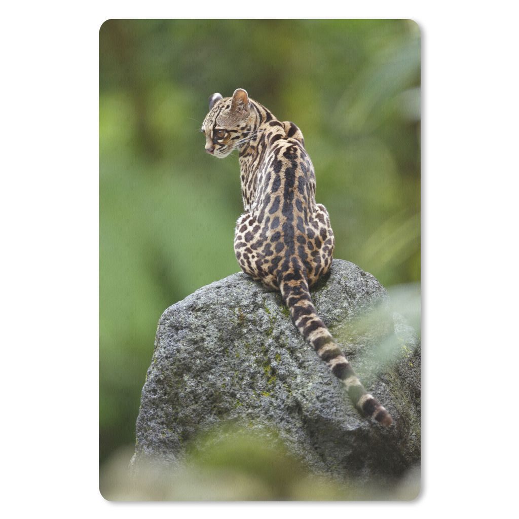 MuchoWow Mauspad Mousepad Baumkatze auf Stein 40x60 cm - Mousepads - Maus Mat - Pad - Mausunterlage - Schreibtisch Accesoire