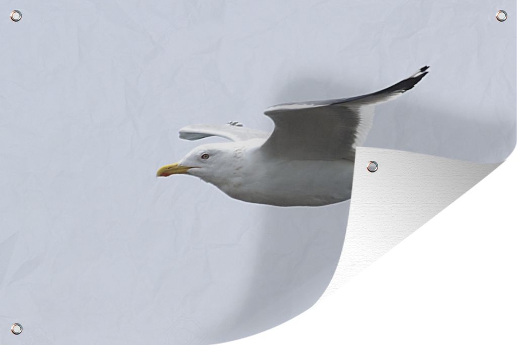 MuchoWow 90x60 cm Outdoor-Poster Gartendeko Sichtschutz Garten Poster für den Garten Möwe - Flügel - Vogel