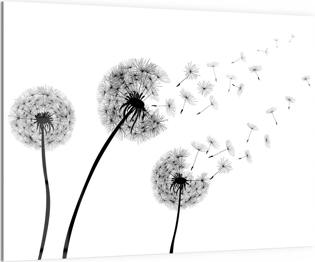 DEQORI Magnettafel Glas 120x90 cm 'Schwarze Pusteblumen' beschreibbar Whiteboard