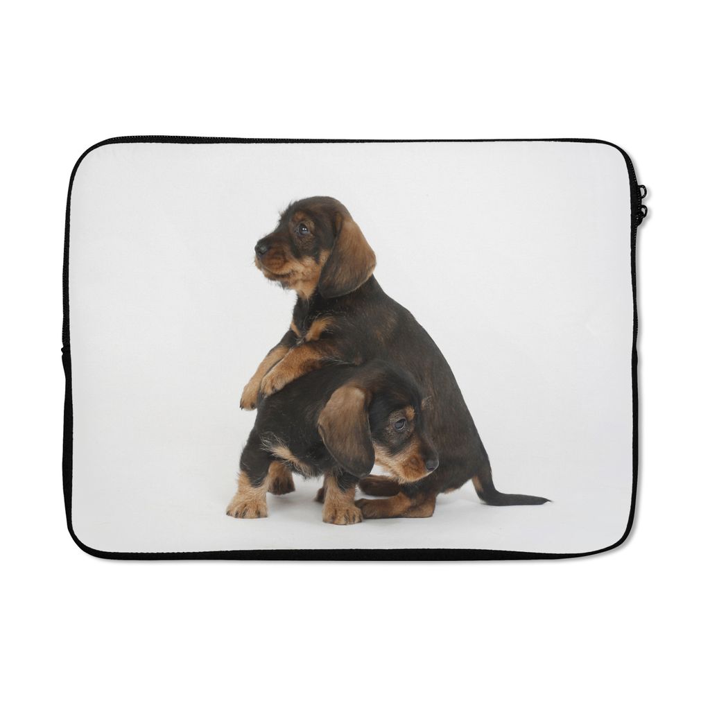 MuchoWow Laptop Hülle 14 ZollStudiofoto von zwei süßen Dackeln Laptoptasche - Laptoptasche - Stoßsicher - Schutzhaube