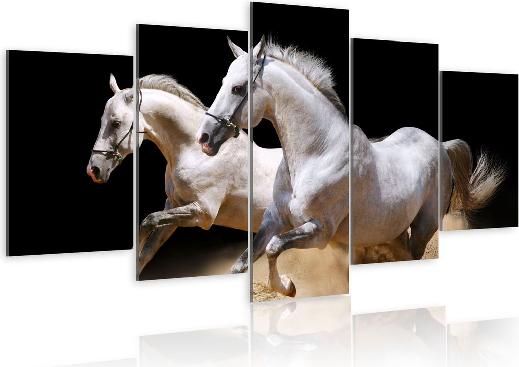 Modernes Wandbild 030216- 6 (100x50) - 5 Teilig Bilder Fotografie auf Vlies Leinwand Foto Bild Dekoration Wand Bilder Kunstdruck Natur