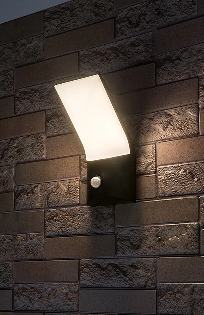 Rabalux 77172 Tolna Applique Murale Extérieure LED 10W Aluminium Noir
