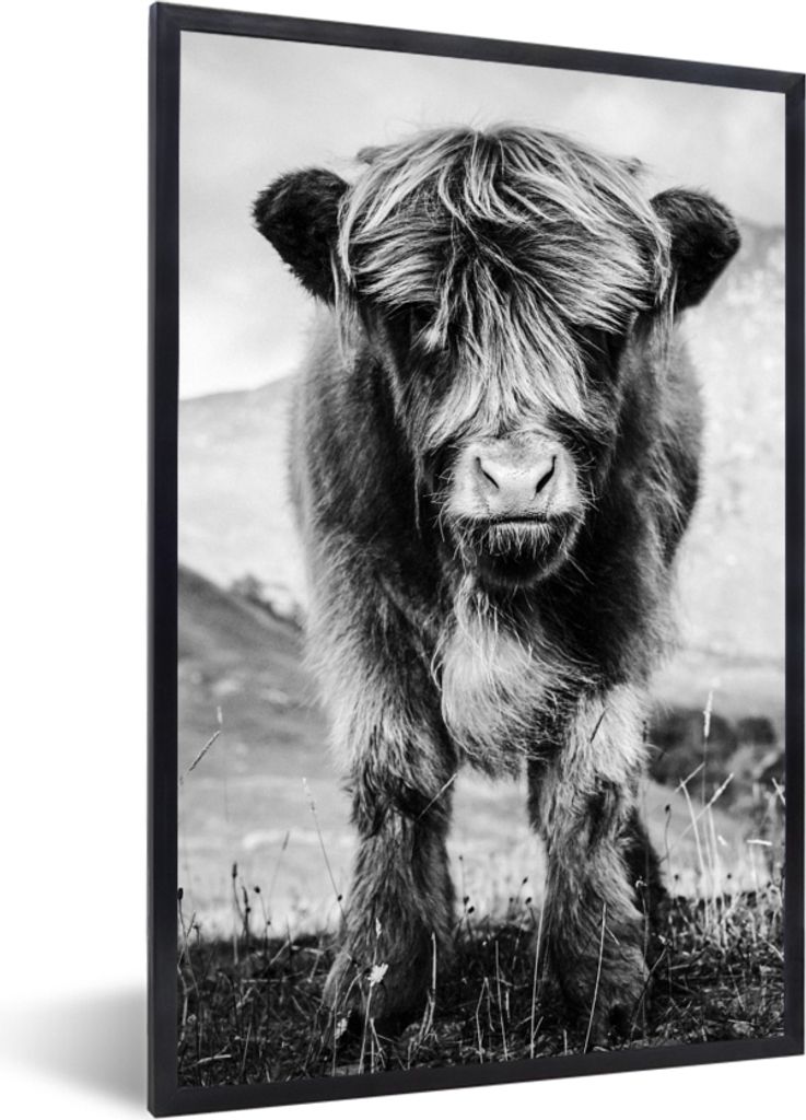 MuchoWow Gerahmtes Poster Schottischer Highlander - Berg - Schwarz - Weiß 40x60 cm - Poster mit Schwarzem Bilderrahmen Wandposter Rahmen Foto Bi...