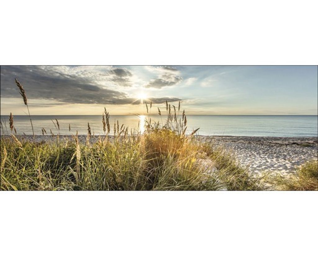 Glasbild Wilder Strand I 125x50 cm