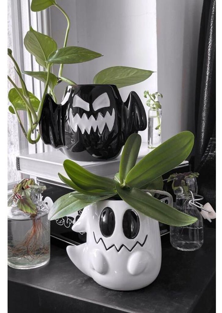 KILLSTAR Set de pots de fleurs - Boo Eek Image du produit 