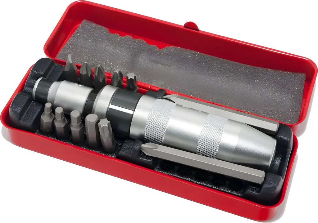 Coffret tournevis à frapper avec 12 embouts interchangeables