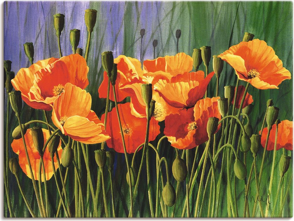 ARTland Leinwandbild Mohnblumen I Größe: 40x30 cm Produktbild 