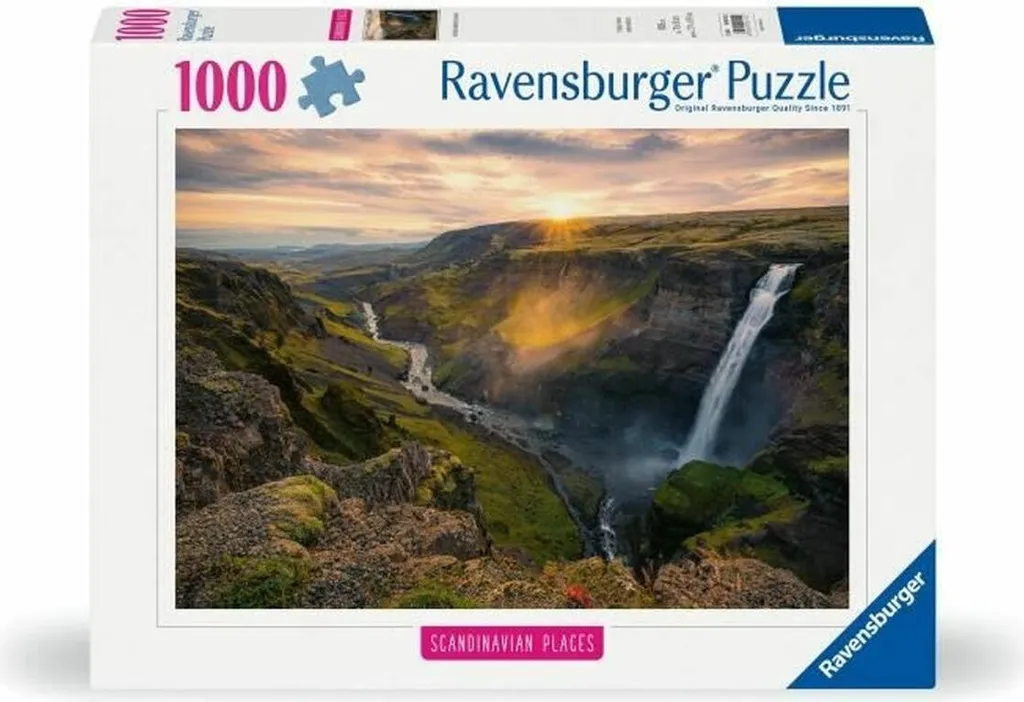 Casse-tête Ravensburger 12000110 : Jeu de Patience Premium de 1000 Pièces