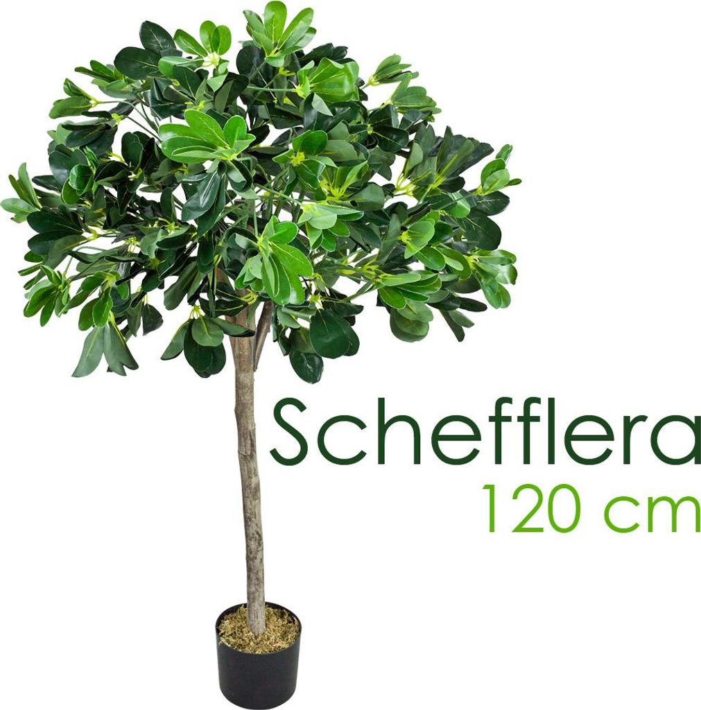 Schefflera Plante Arbre Artificielle Artificiel Plastique Image du produit 