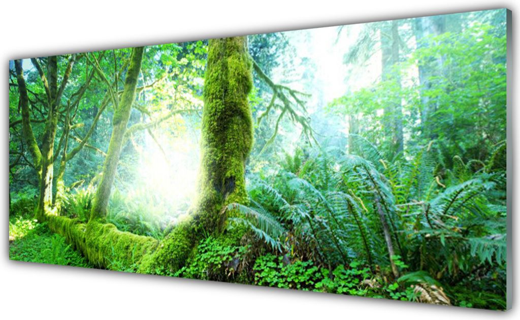 Glasbilder 125x50 Wandbild Druck auf Glas Wald Natur