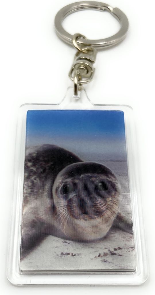 Onwomania - Robbe Baby Seehund - 3D Schlüsselanhänger aus Metall, ideal als Geschenk z.B. für den besten Freund, die beste Freundin, Mama - Für...