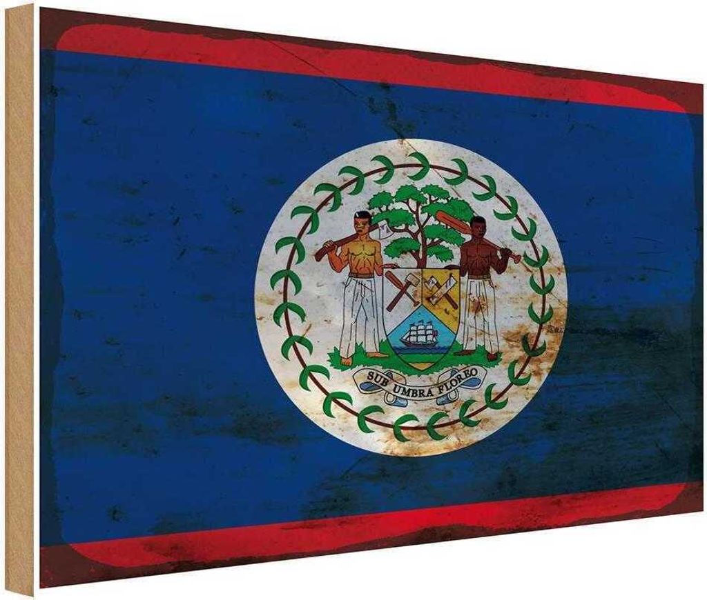 vianmo Holzschild 20x30 cm Belize Rost Flagge Fahne Wappen