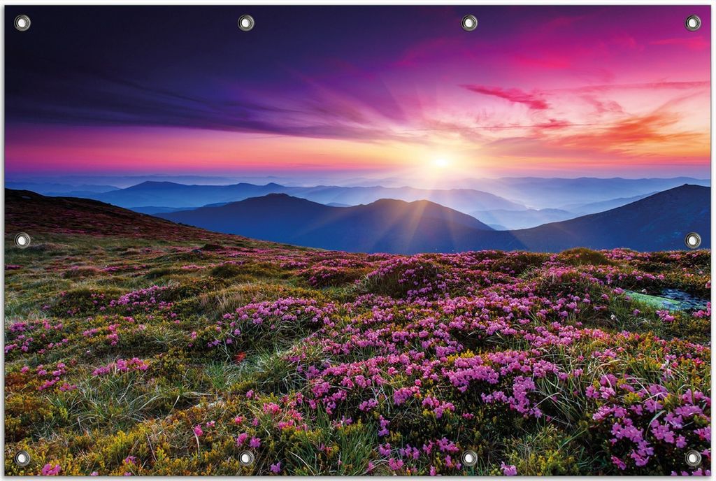 Wallario Outdoor-Poster für Garten oder Balkon, Motiv Blumenbedeckte Wiese bei Sonnenuntergang, in ca. 80 x 120 cm