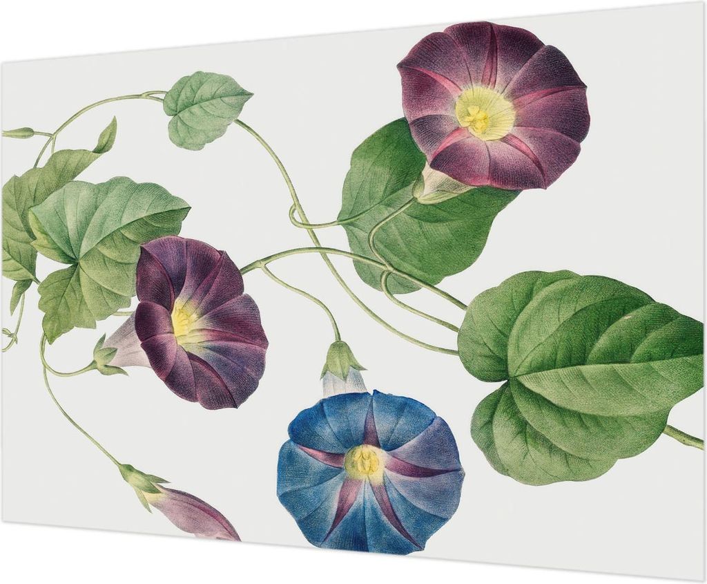 Wandtapete - Dekorative Tapete für Wohnzimmer - Tapetenfolie für Wanddekoration - 312x219 cm - Floristische Eleganz