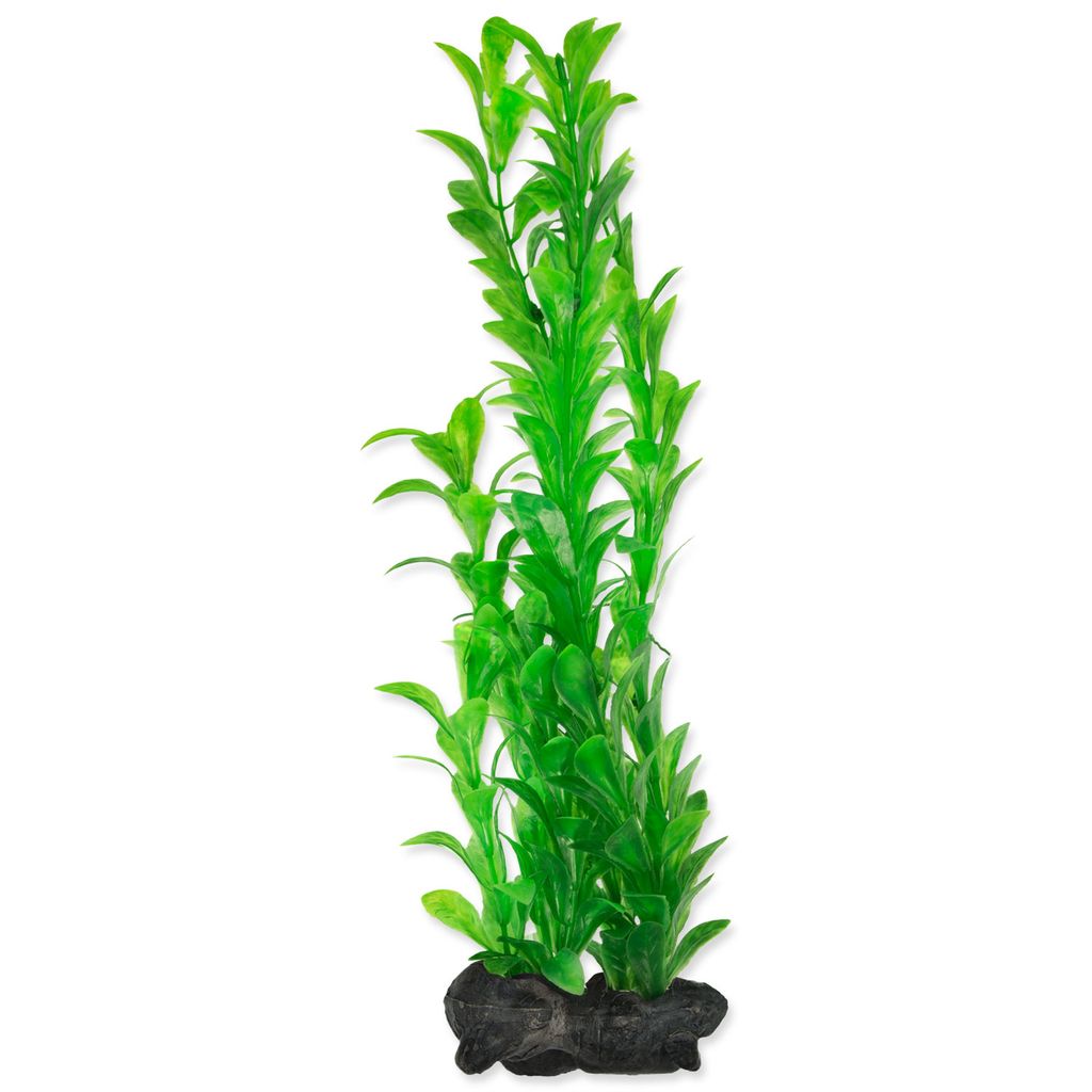 Deko Tetra Pflanze Hygrophila L 30cm