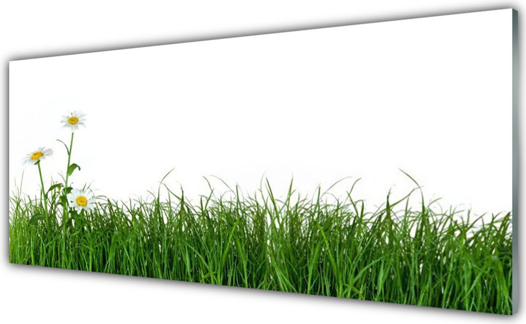 Acrylglasbilder 125x50 Wandbild Druck Gras Natur