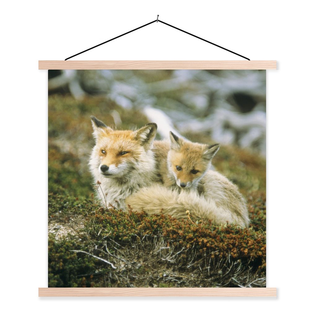 MuchoWow Textilposter Füchse - Moos - Jung 60x60 cm mit holzfarbenen Rahmen - Wanddekoration