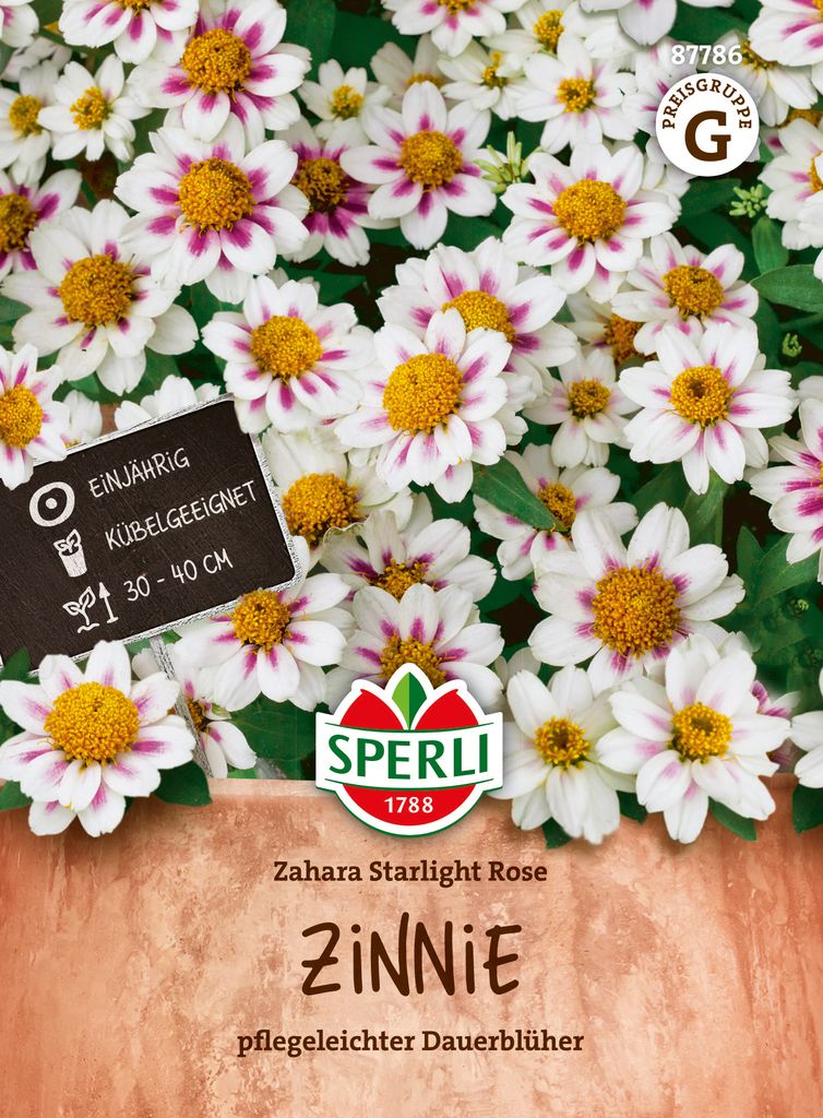 SPERLI Zinniensamen Zahara Starlight Rose Zinnia x hybrida 8 Pflanzen