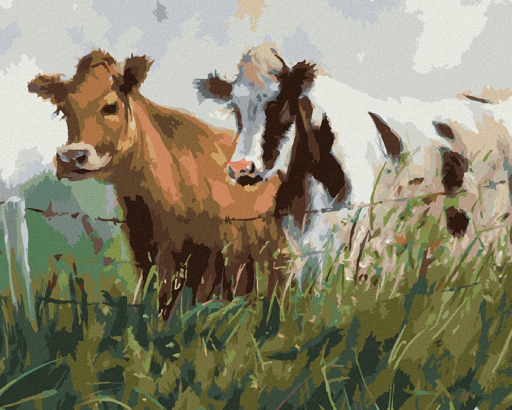 Zuty - Malen nach Zahlen - ZWEI KÜHE HINTER WEIDEZAUN, 40x50 cm, mit Keilrahmen (bereits gespannt)