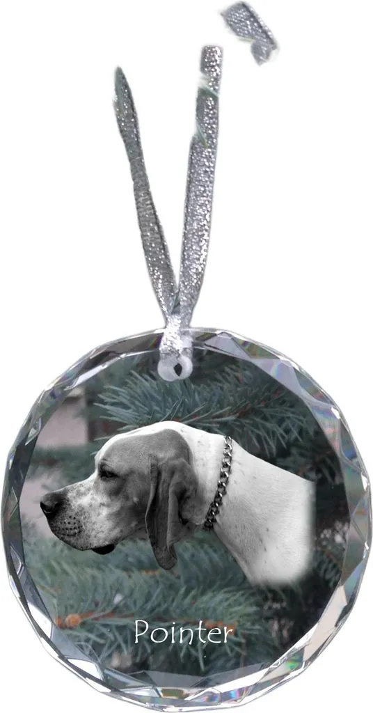 Segugio inglese I - decorazione in cristallo con fotografia, fotografia del cane in cristallo, decorazione natalizia personalizzata del marchio Art-Dog