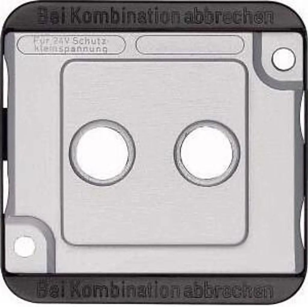 Plaque Merten 294660 Argent : Cachez les Défauts de vos Appliques