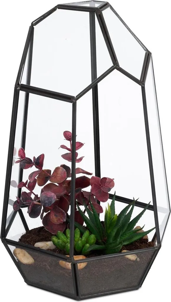 Terrarium géométrique en verre pour succulentes - Modèle Hexa 25 cm - 6
