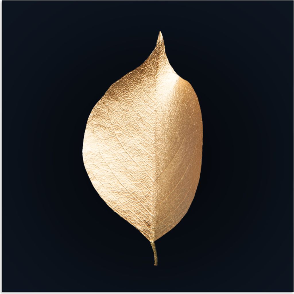 MuchoWow Poster Blätter - Gold - Schwarz - Pflanzen - Luxus 75x75 cm - Wand Dekoration