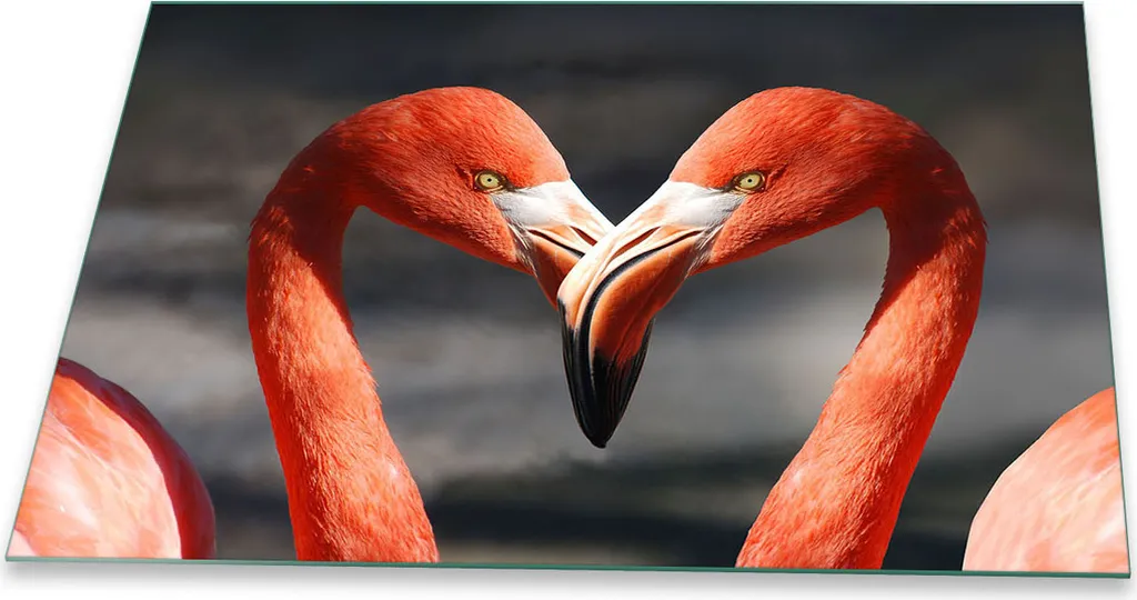 Copri Piano Cottura Rosso Bird 80x52 Vetro Temperato Universale