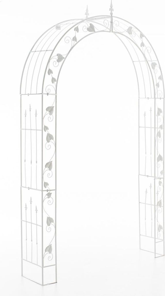 Arche de roses Emma Image du produit 