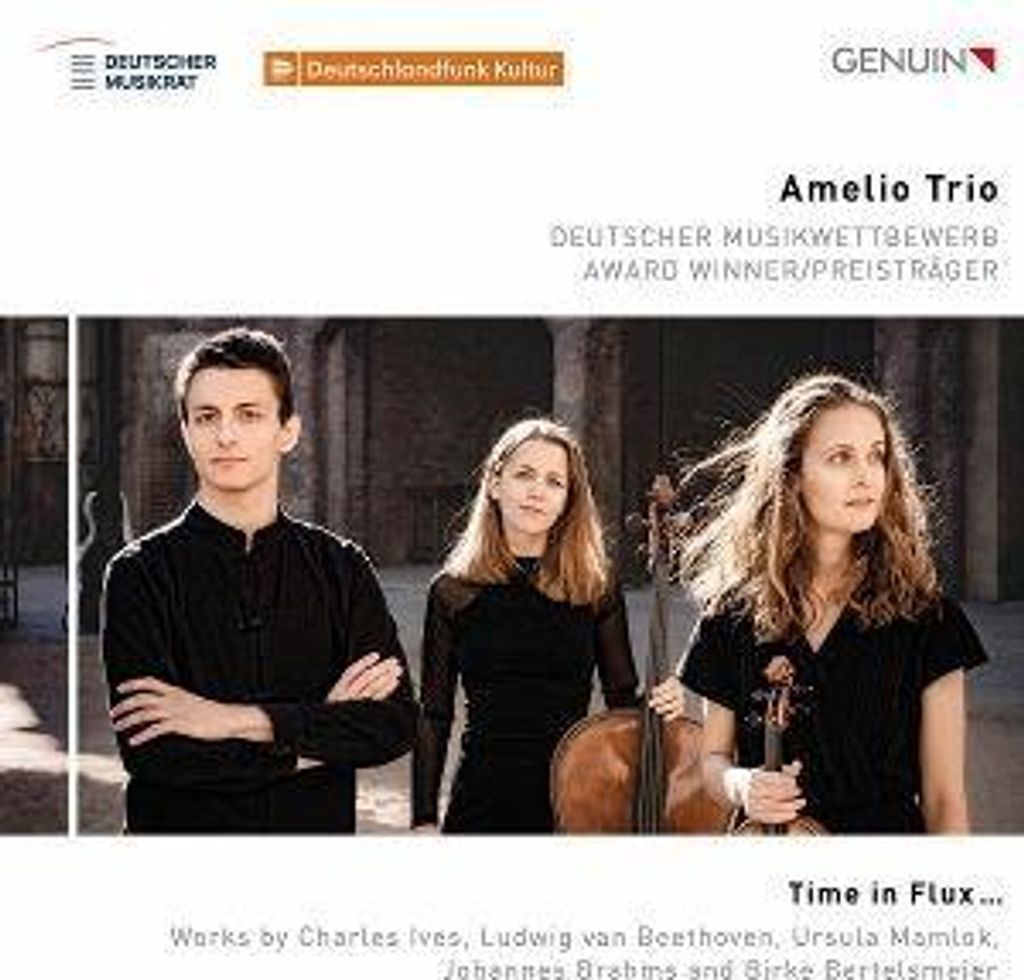 Amelio Trio: Time in Flux...