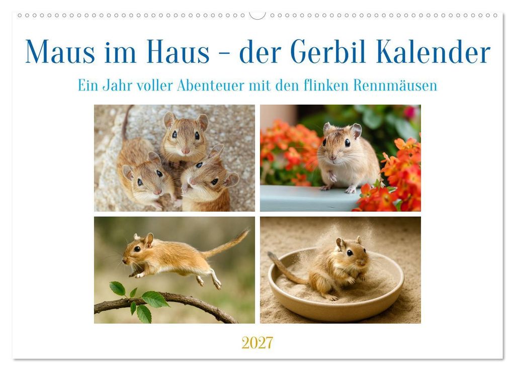 Maus im Haus - der Gerbil Kalender (Wandkalender 2027 DIN A2 quer), CALVENDO Monatskalender