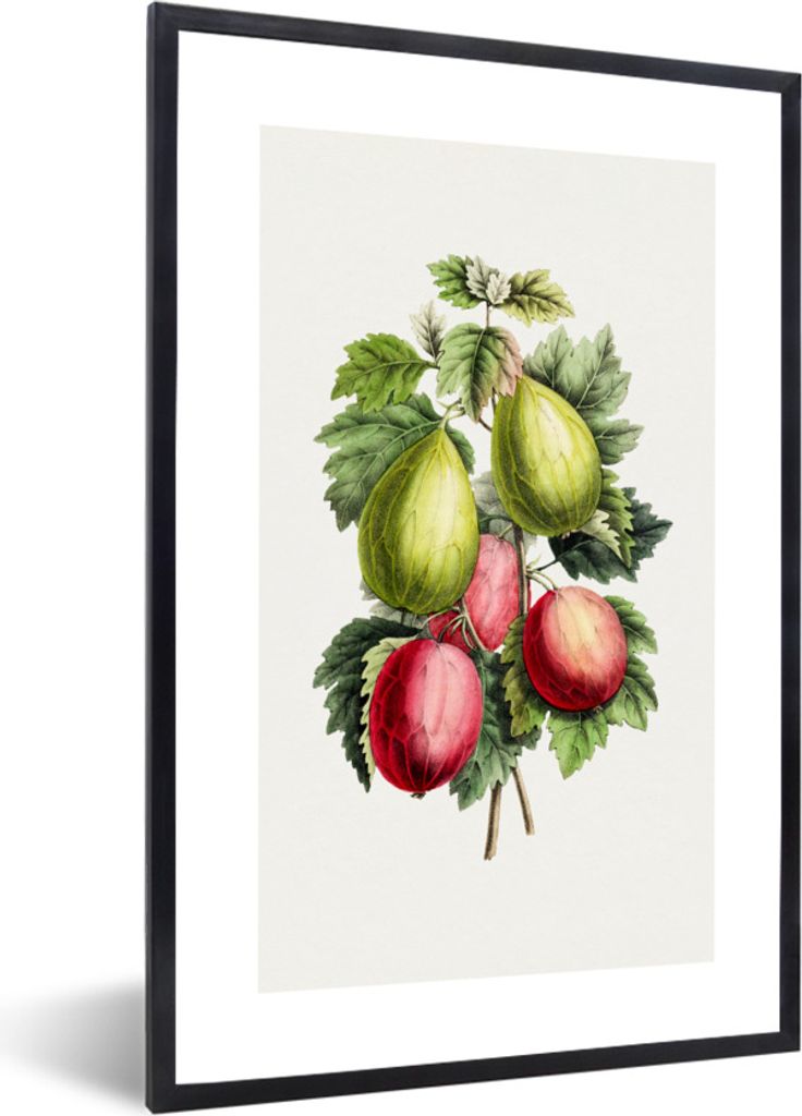MuchoWow Gerahmtes Poster Lebensmittel - Feigen - Pflanze 60x90 cm - Poster mit Schwarzem Bilderrahmen Wandposter Rahmen Foto Bilder - Kunst