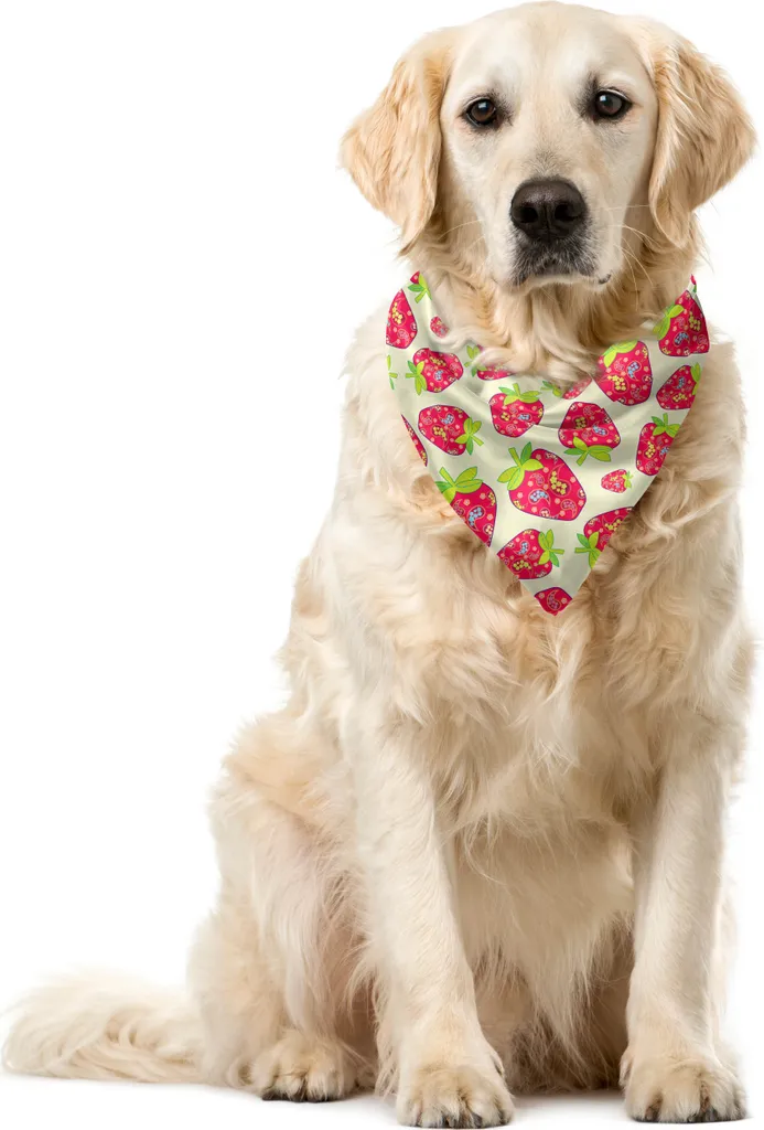 Accessorio Pet di Design: Bandana 40x40 Motivo Paisley e Fragole
