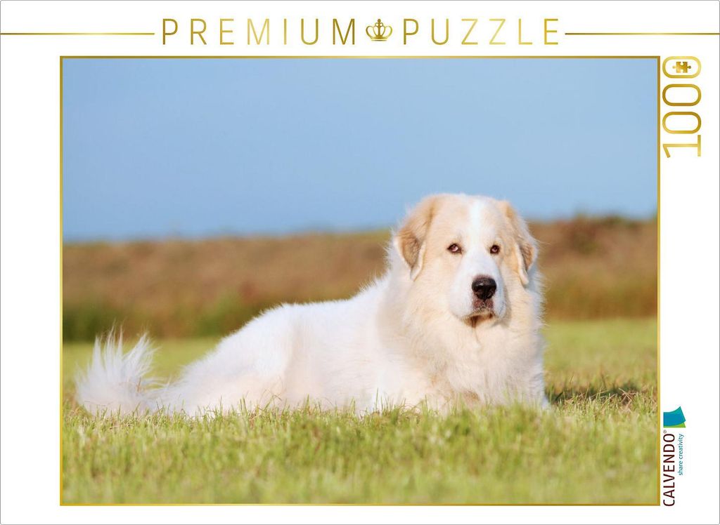 CALVENDO Puzzle Pyrenäenberghund | 1000 Teile Lege-Größe 64x48cm Foto-Puzzle für glückliche Stunden