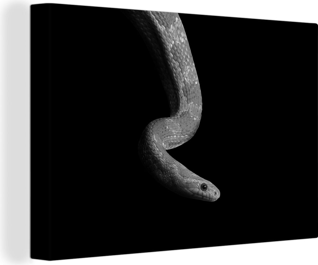 OneMillionCanvasses - Leinwandbilder - 150x100 cm, Tiere - Schlange - Schwarz - Weiß - Porträt, Wandbilder Kunstdruck Wanddekoration - Foto auf...